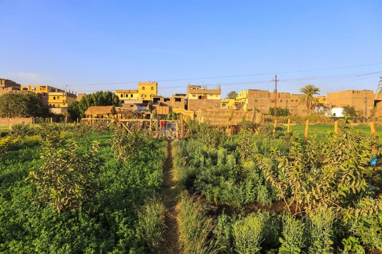 Bedouin Lodge Luxor 0*,  Egipto